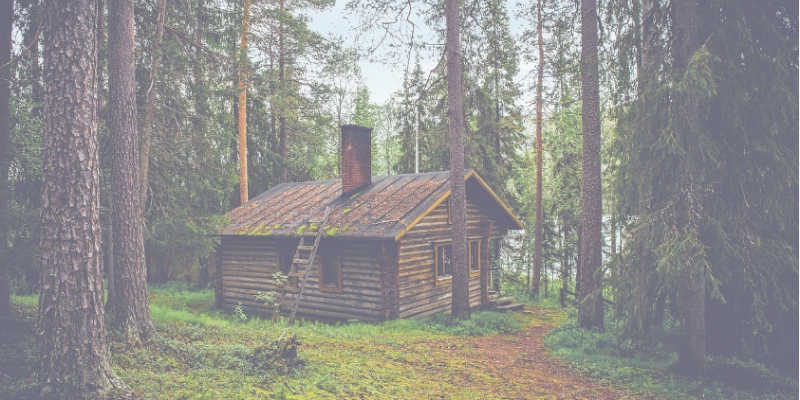 Image of a cabin in the woods