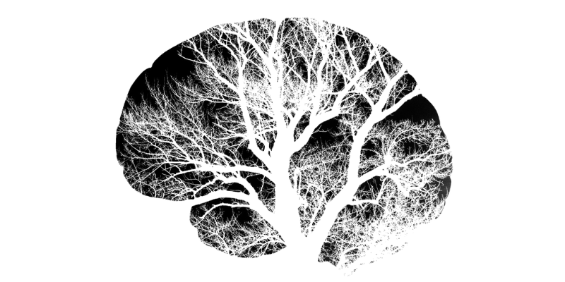 Image of a tree silhouette in the shape of a brain