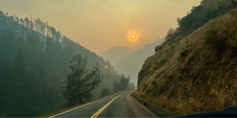 Foggy mountain road at dusk