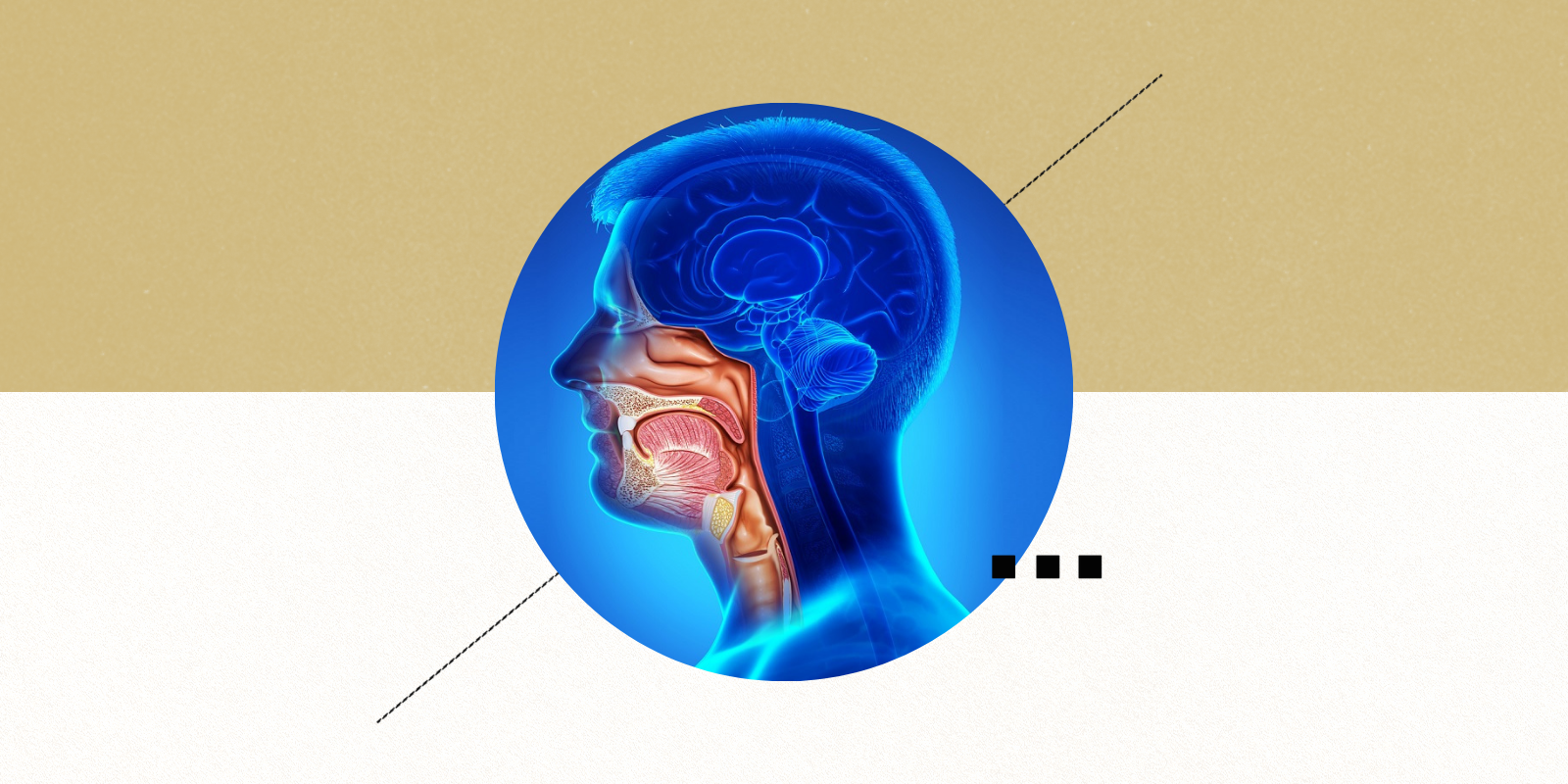 An illustration showing the locations of head and neck cancers.