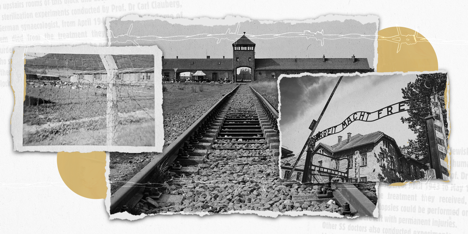 Beyond the Classroom: Horrors of Holocaust Sites Shape Future Medical Professionals