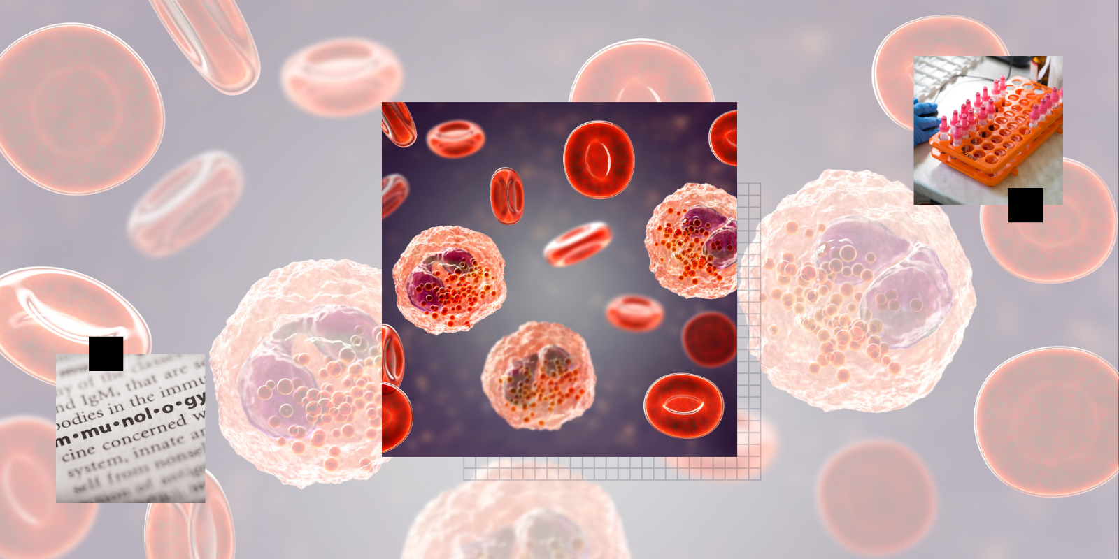 Image showing blood cells, test tubes and dictionary page defining immunology