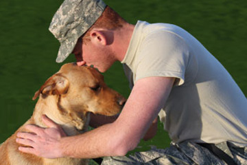 Dog with veteran