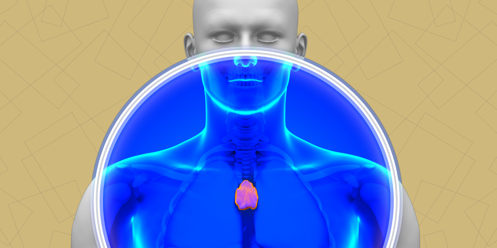 How Reviving an Unused Organ Might Transform Cancer Immunotherapy