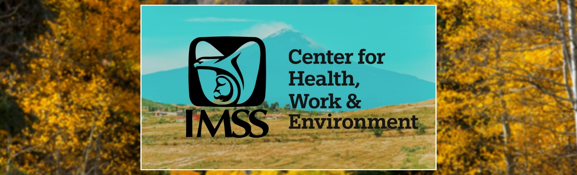 CHWE and IMSS logo