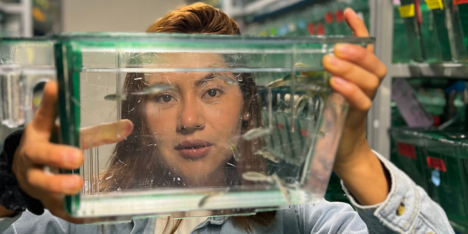 Marycruz Flores-Flores