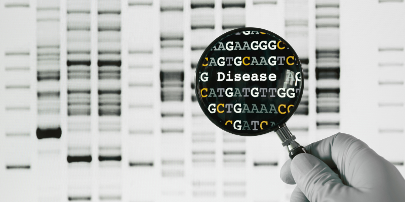 The 1% That Makes All the Difference: Understanding Polygenic Risk Scores