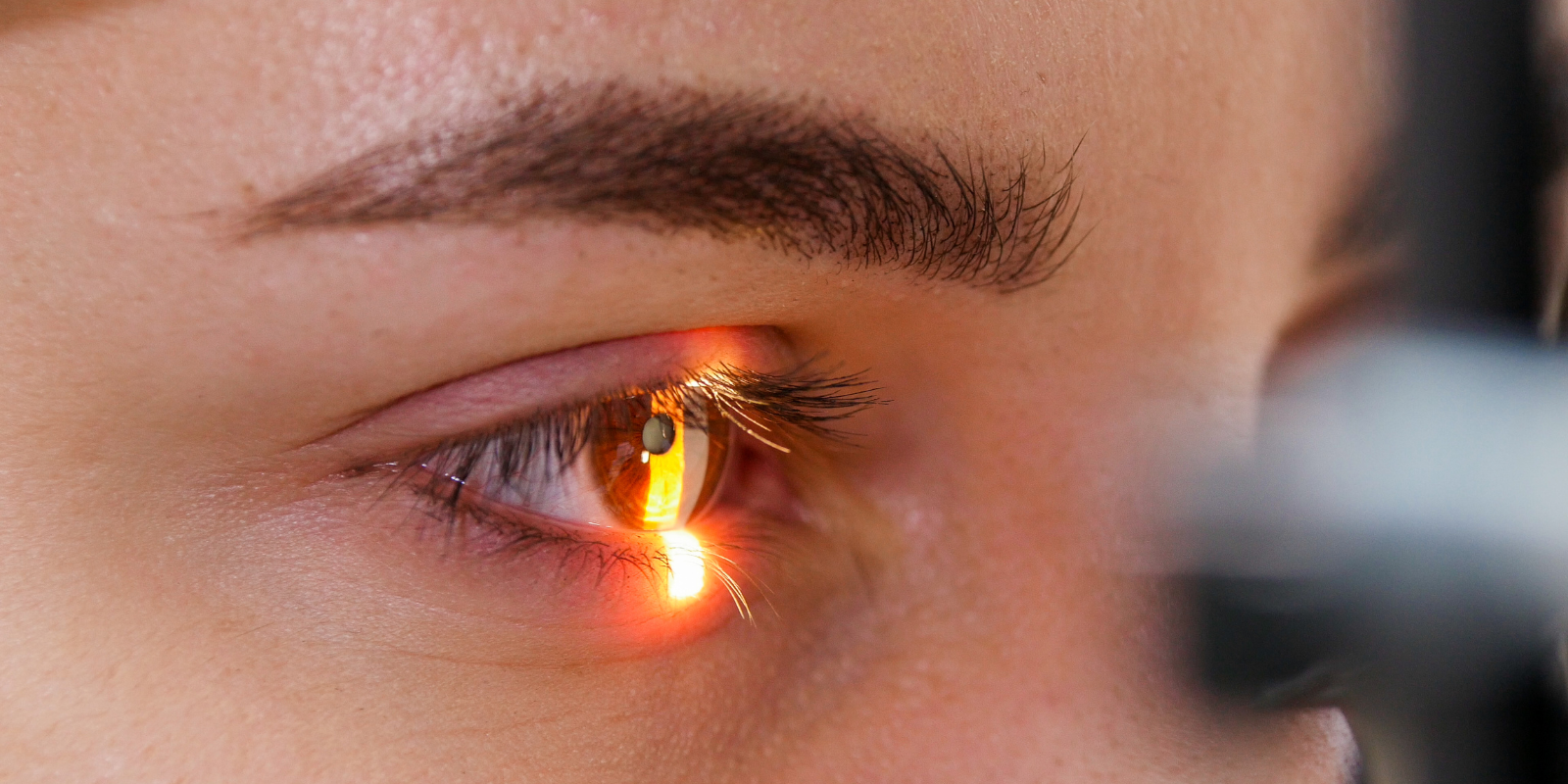 Image of person's eye being scanned
