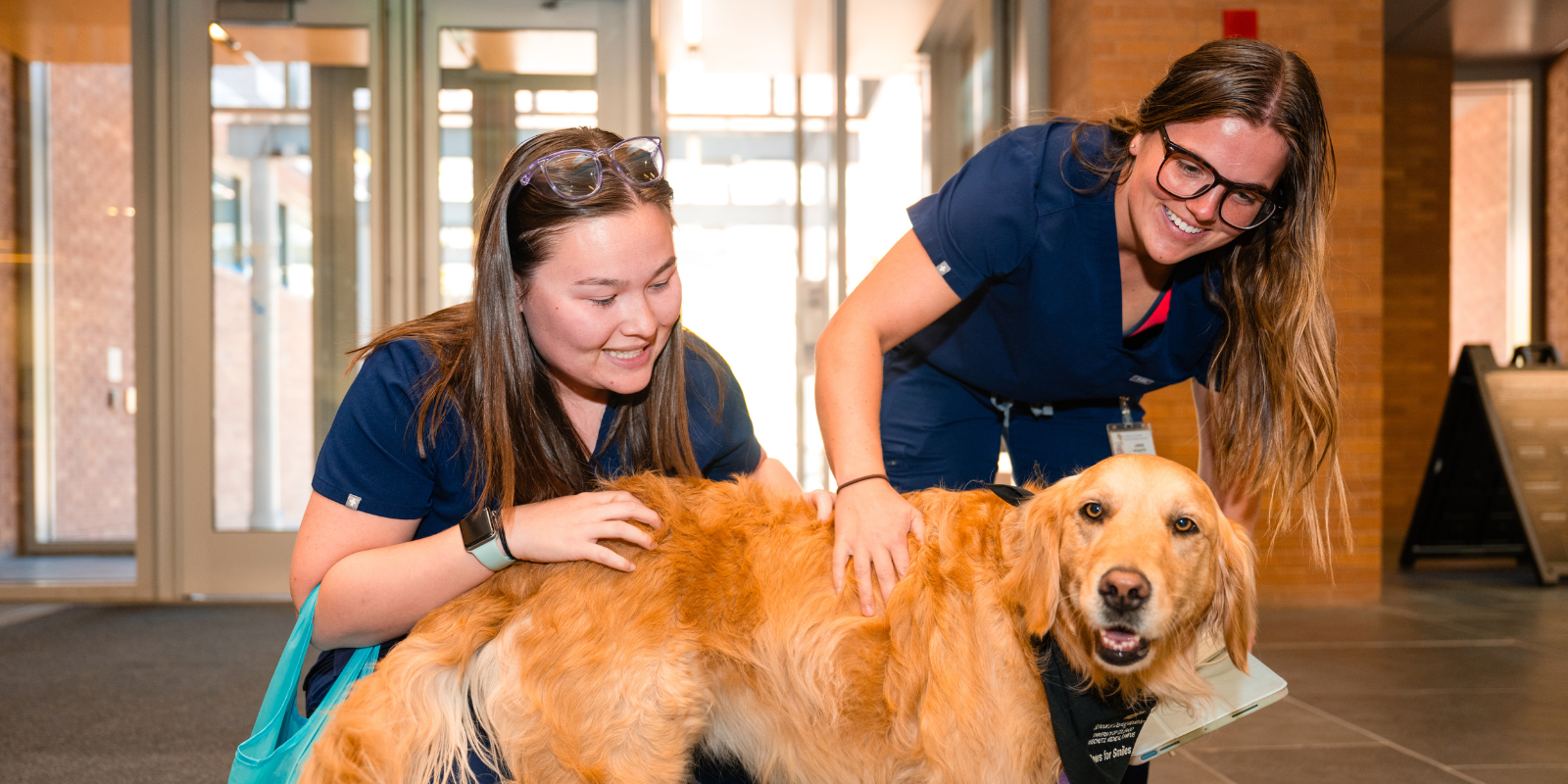 two dental students pet golden retriever therapy dog 