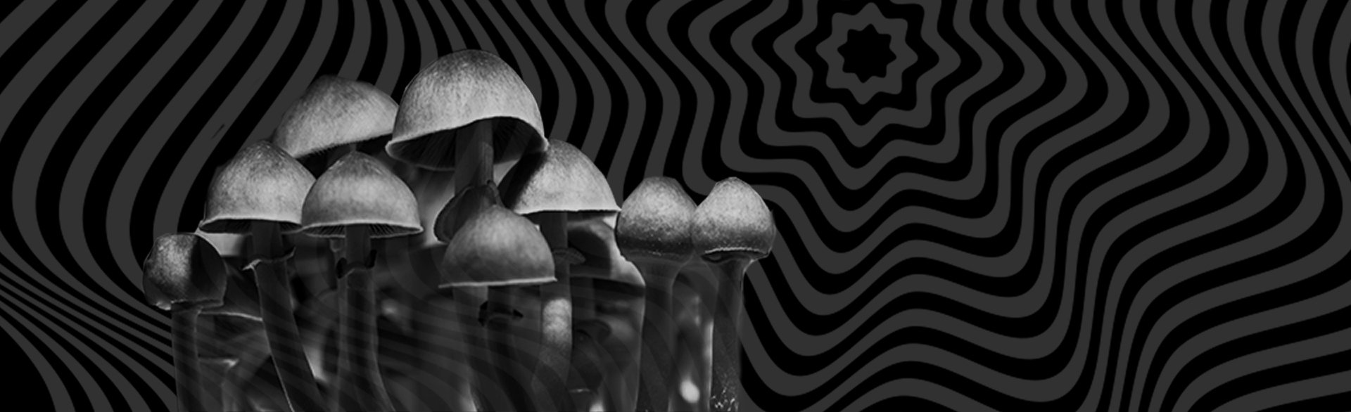 mushrooms over black and grey zigzag background