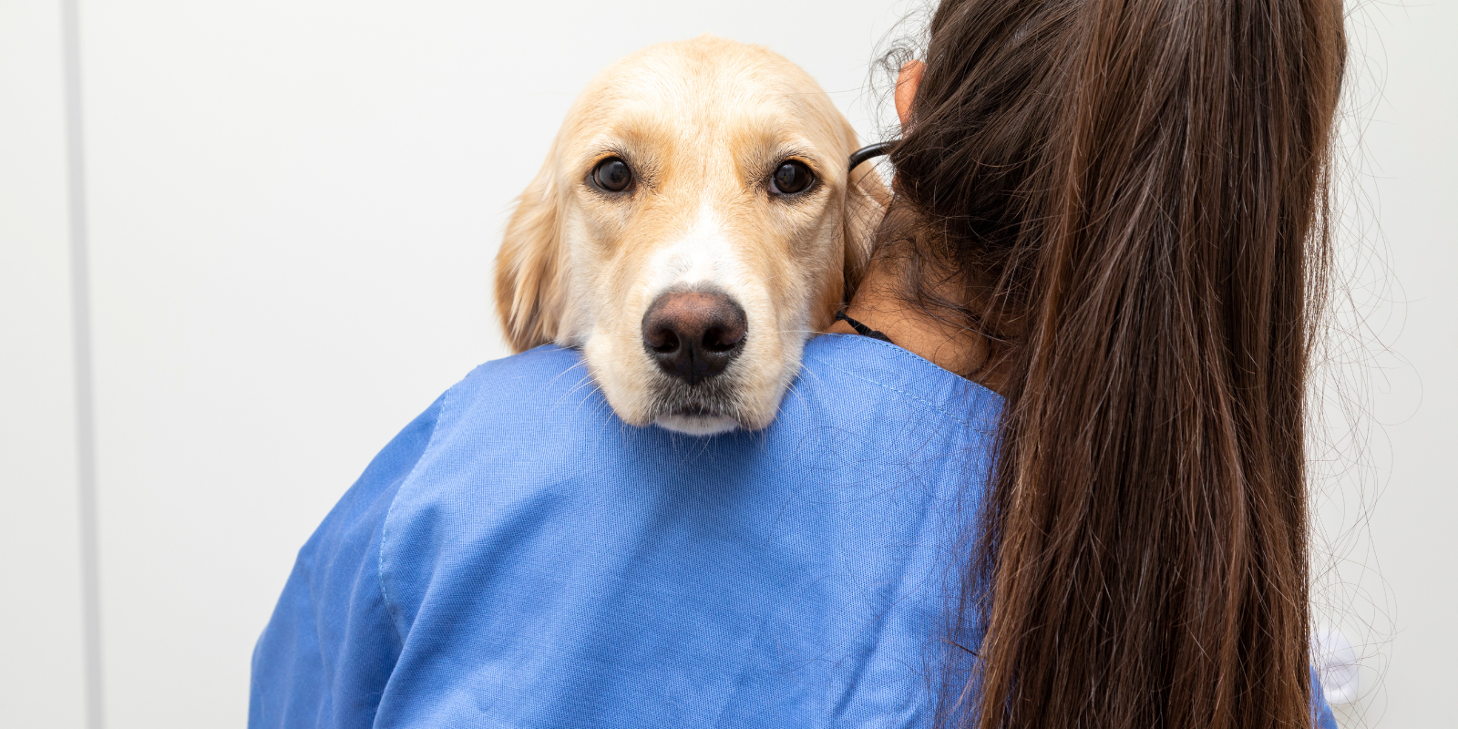 A New Method for Stopping Osteosarcoma from Spreading to the Lungs