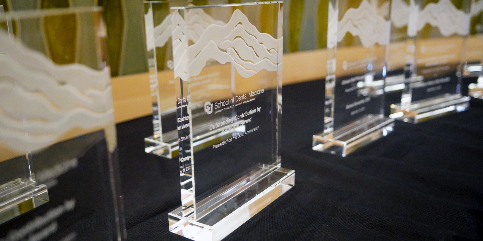 glass awards lined up on table