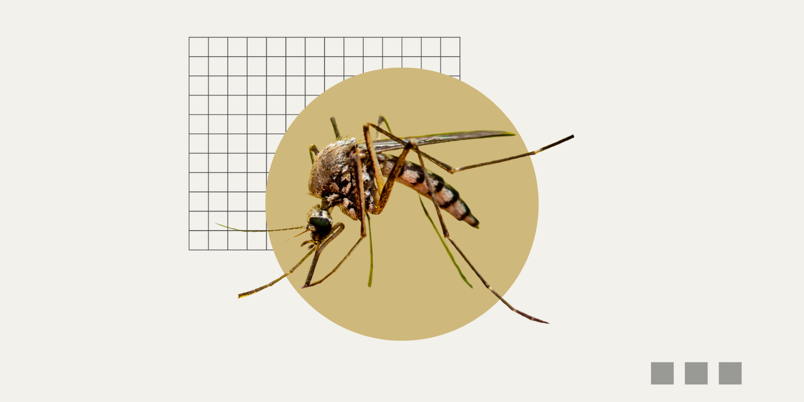 Graphic of a mosquito