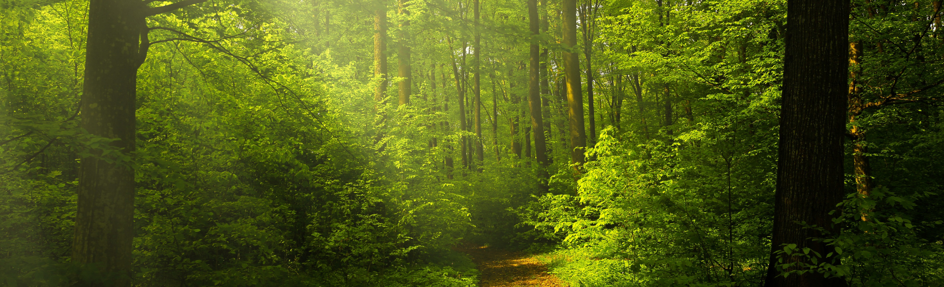 School of Medicine Launches Climate & Health Program