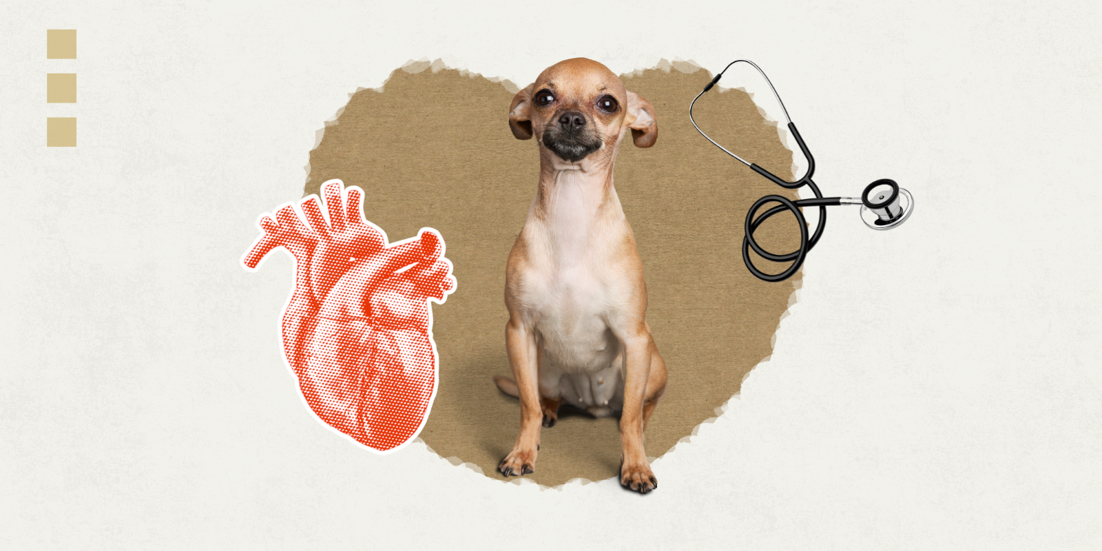 Can Human Heart Failure Interventions Work in Dogs?