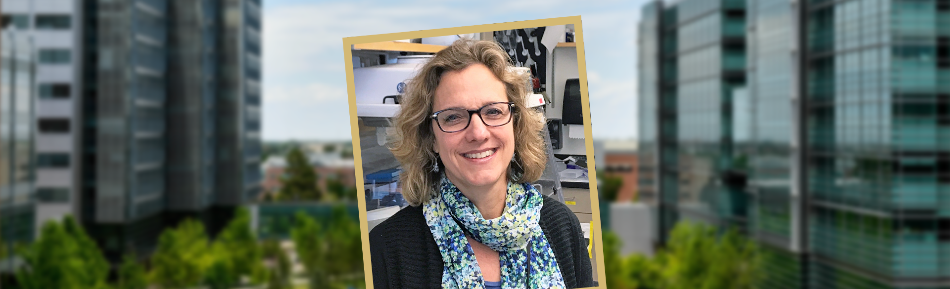Heide Ford, PhD | Chair of the Department of Pharmacology | University of Colorado School of Medicine
