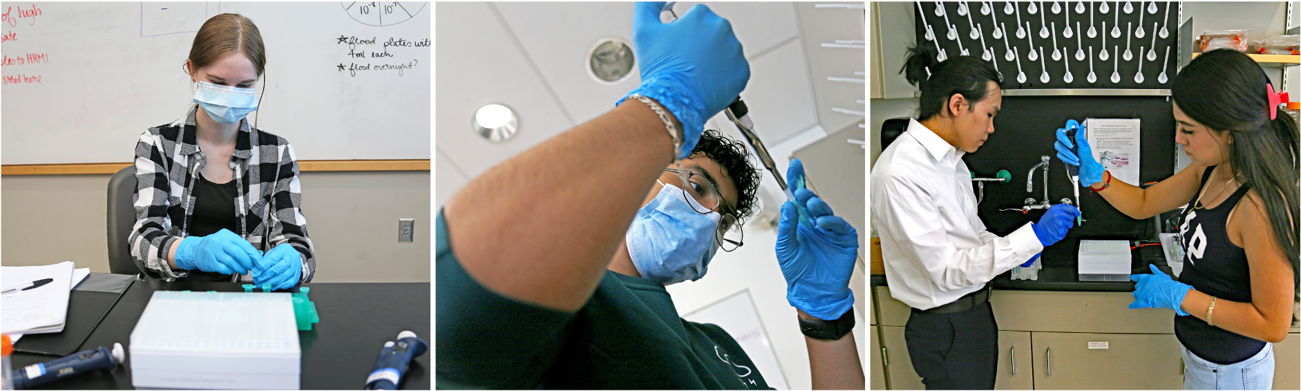 Three photos of SEA-PHAGES student interns in lab | CU School of Medicine