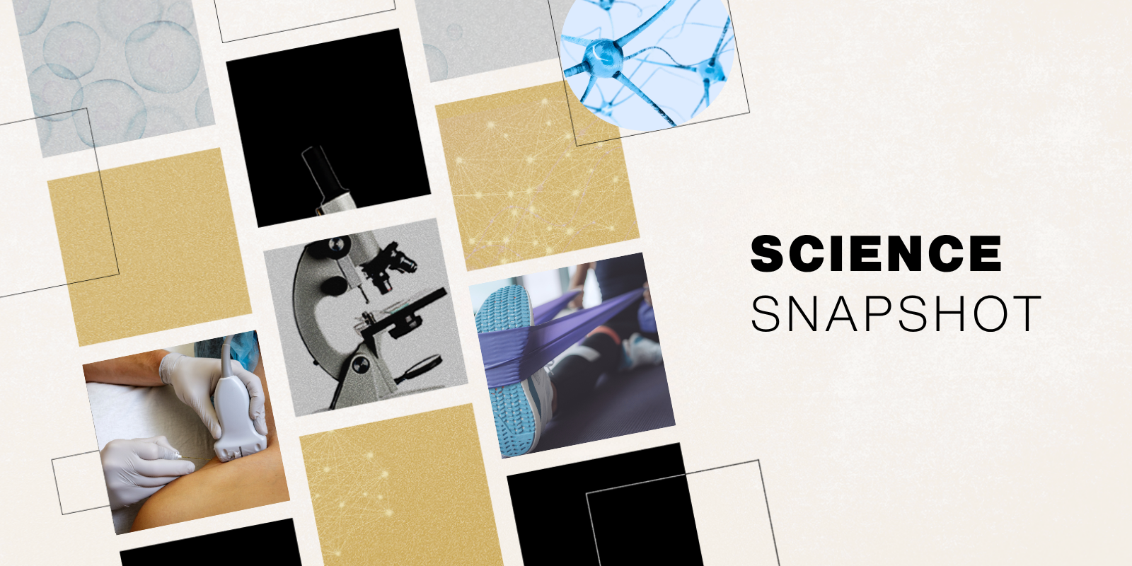 A collage of square, snapshot-sized graphics, including a gloved hand performing an ultrasound, a microscope and a person pulling a sneakered foot back with a resistance band.