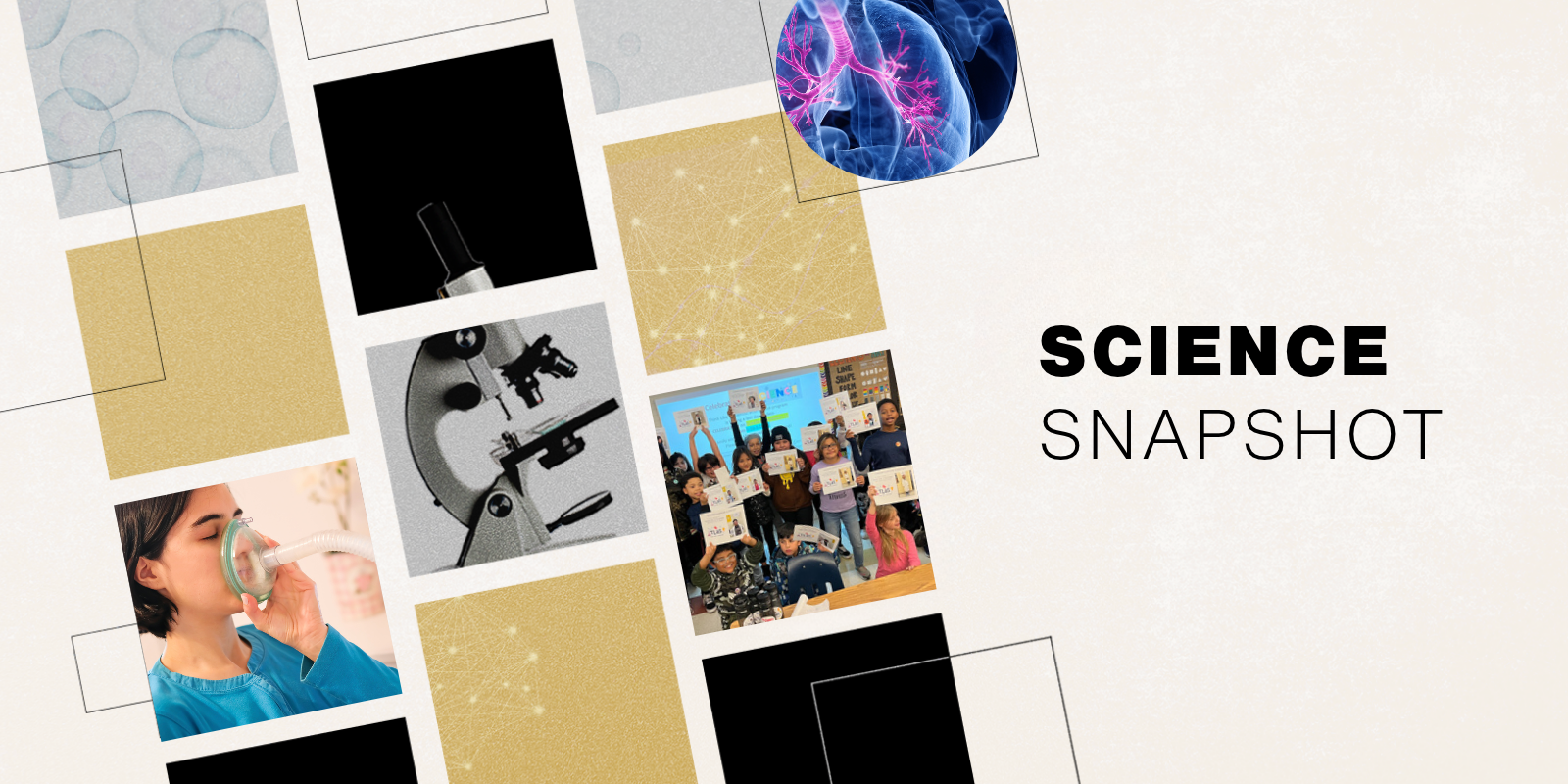 Graphic of reel-like strips of snapshots of gold, black, and image-filled boxes, including: a girl using an oxygen mask, a microsocpe, a classroom group shot of children, a lung, and cells under a microscope.
