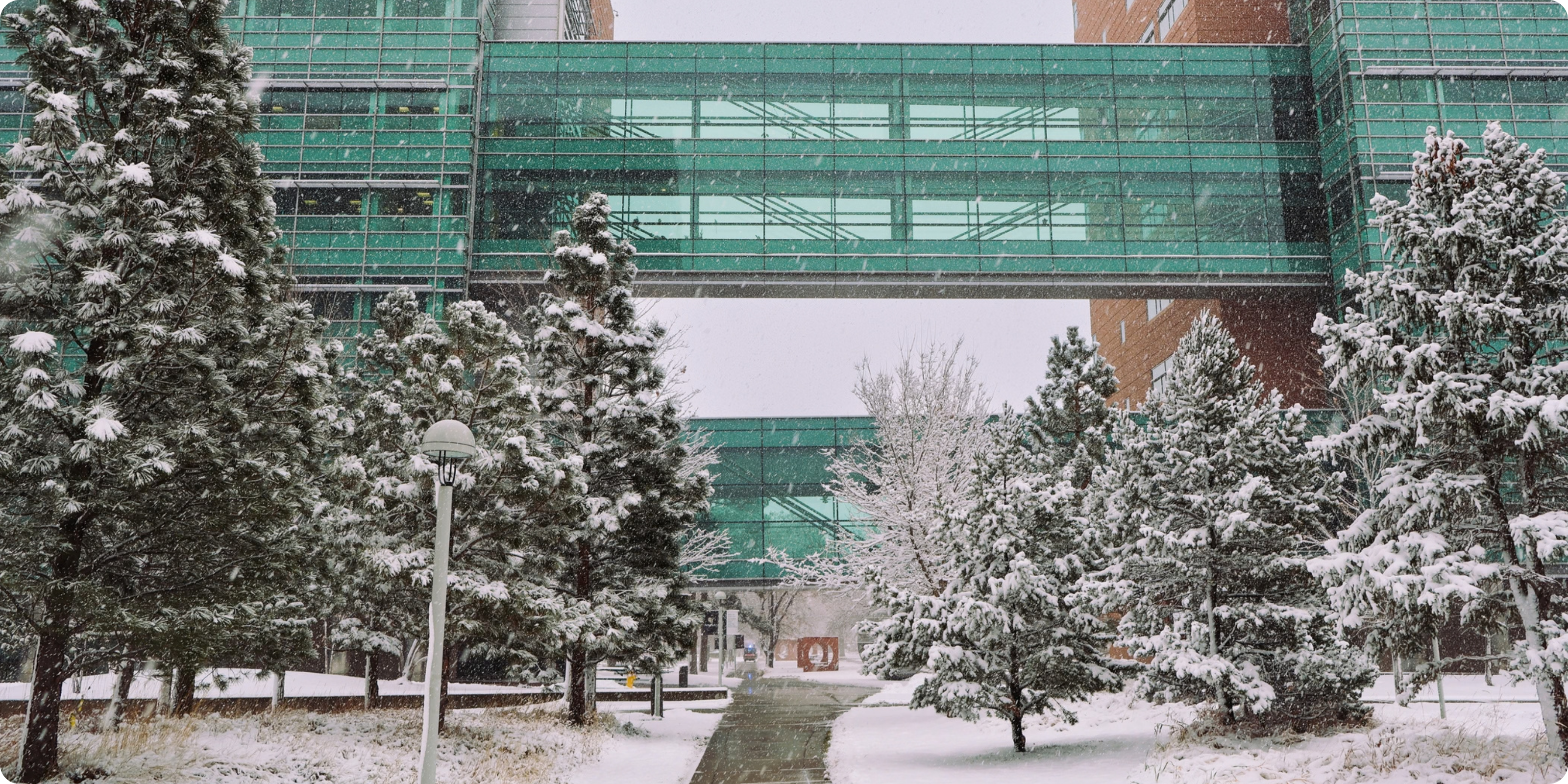 Snow on campus 