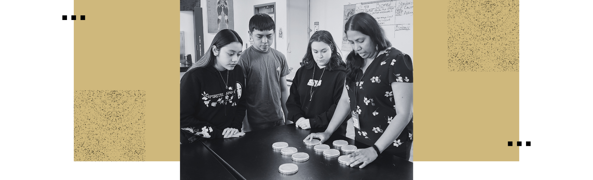 Three students look on as Jagannathan sorts culture dishes