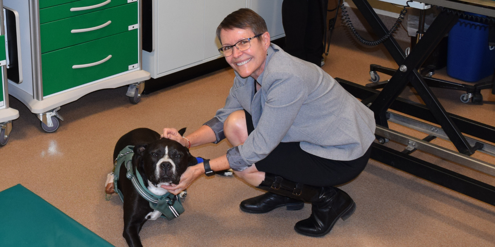 Susan E Lana, DVM, with patient Buddy.