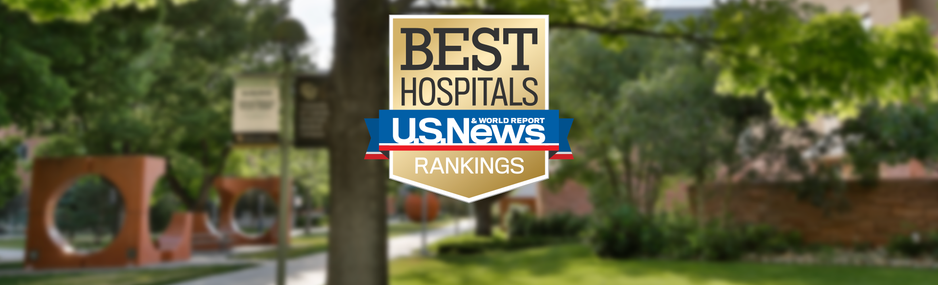 Voting for U.S. News & World Report Hospitals Ranking