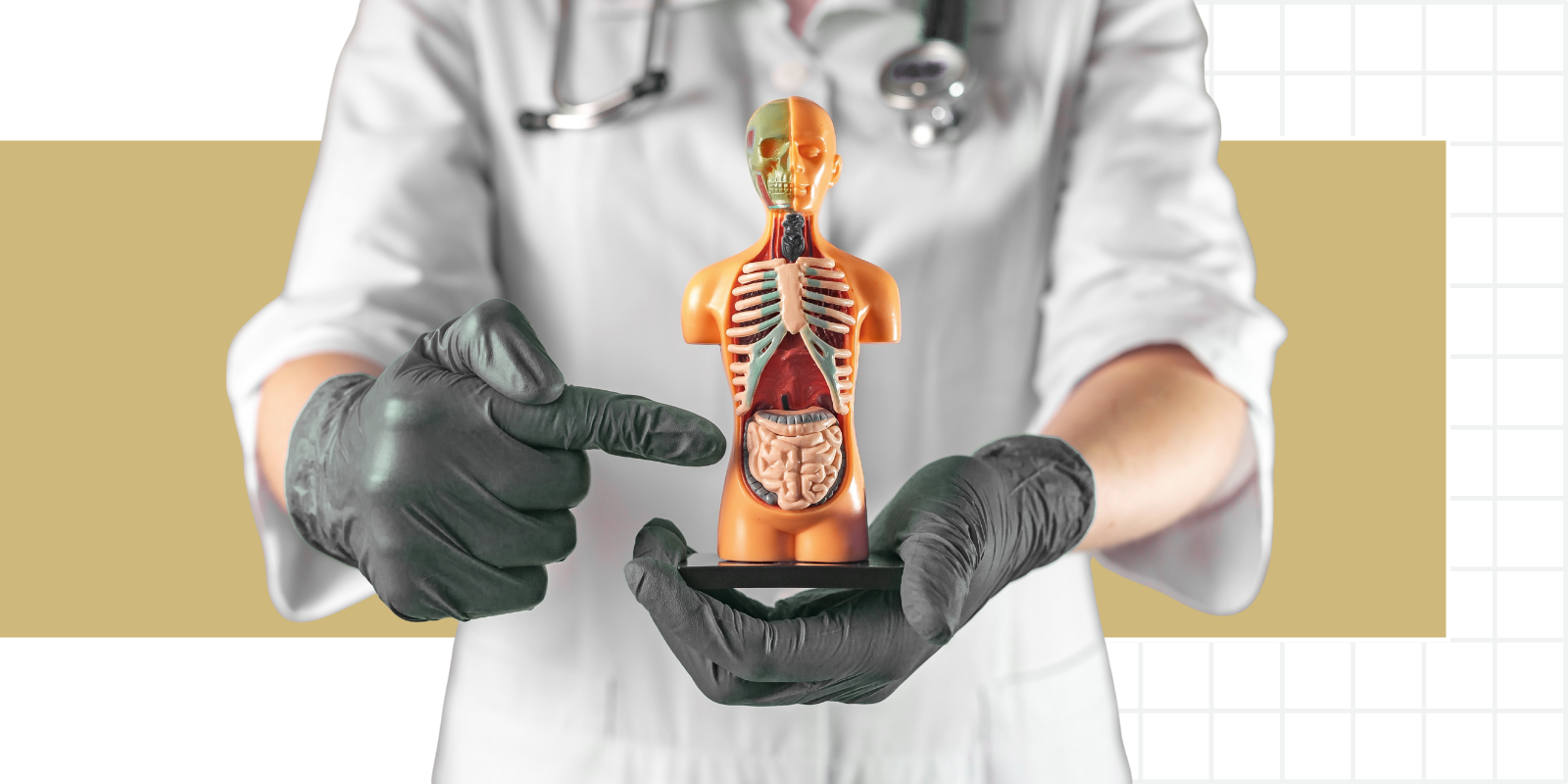 Colorectal Cancer Becomes the Top Cause of Cancer-Related Death in People Younger Than 50