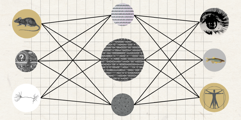 graphic of a neural network against a grid-paper looking background. The neural network's nodes contain other graphics that represent components of computational biology and biomedical informatics, such as binary code, a model organism, a neuron, a graphic of a network. The center node contains a computational DNA sequence of sorts.