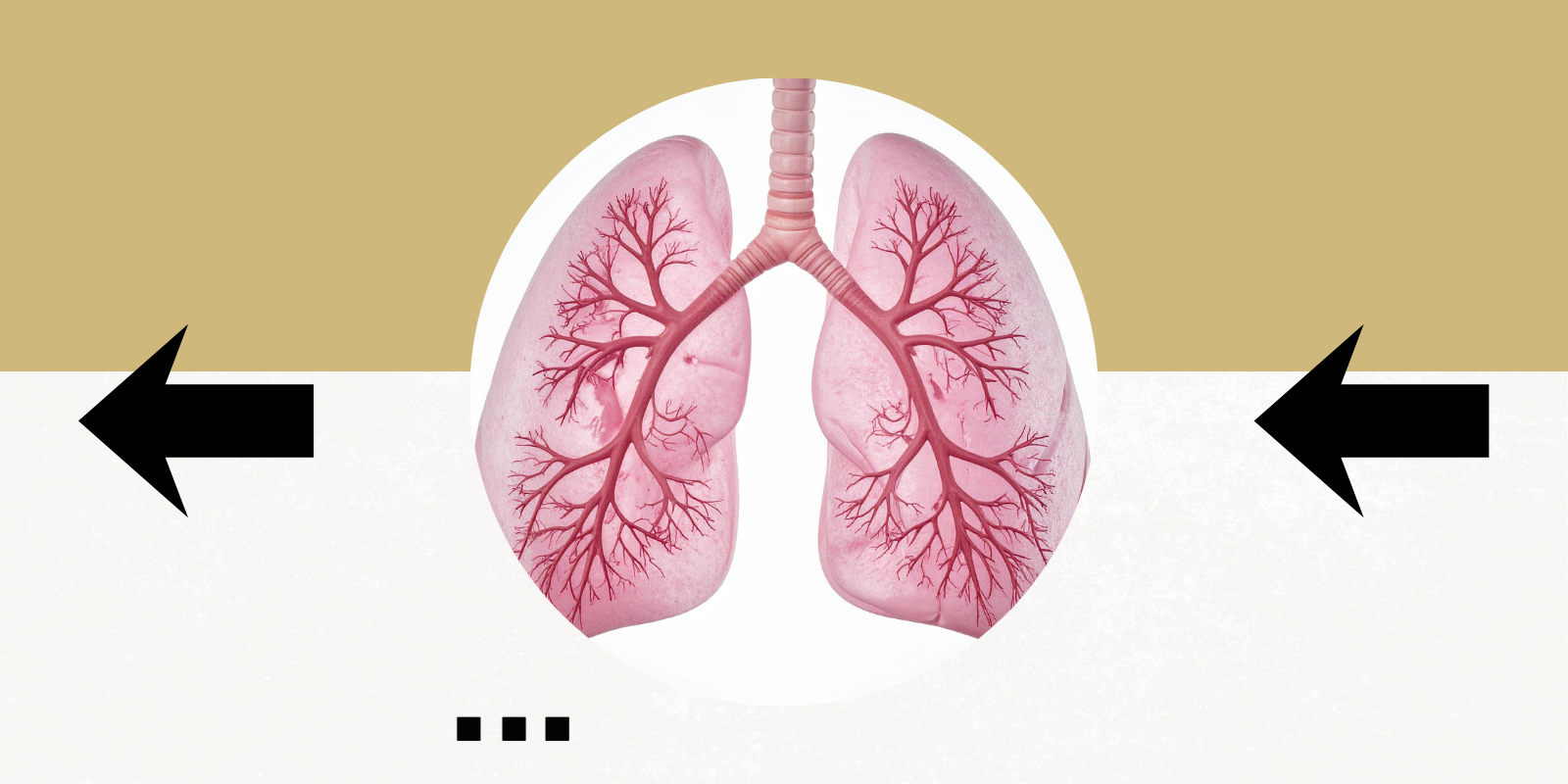 illustration of human lungs