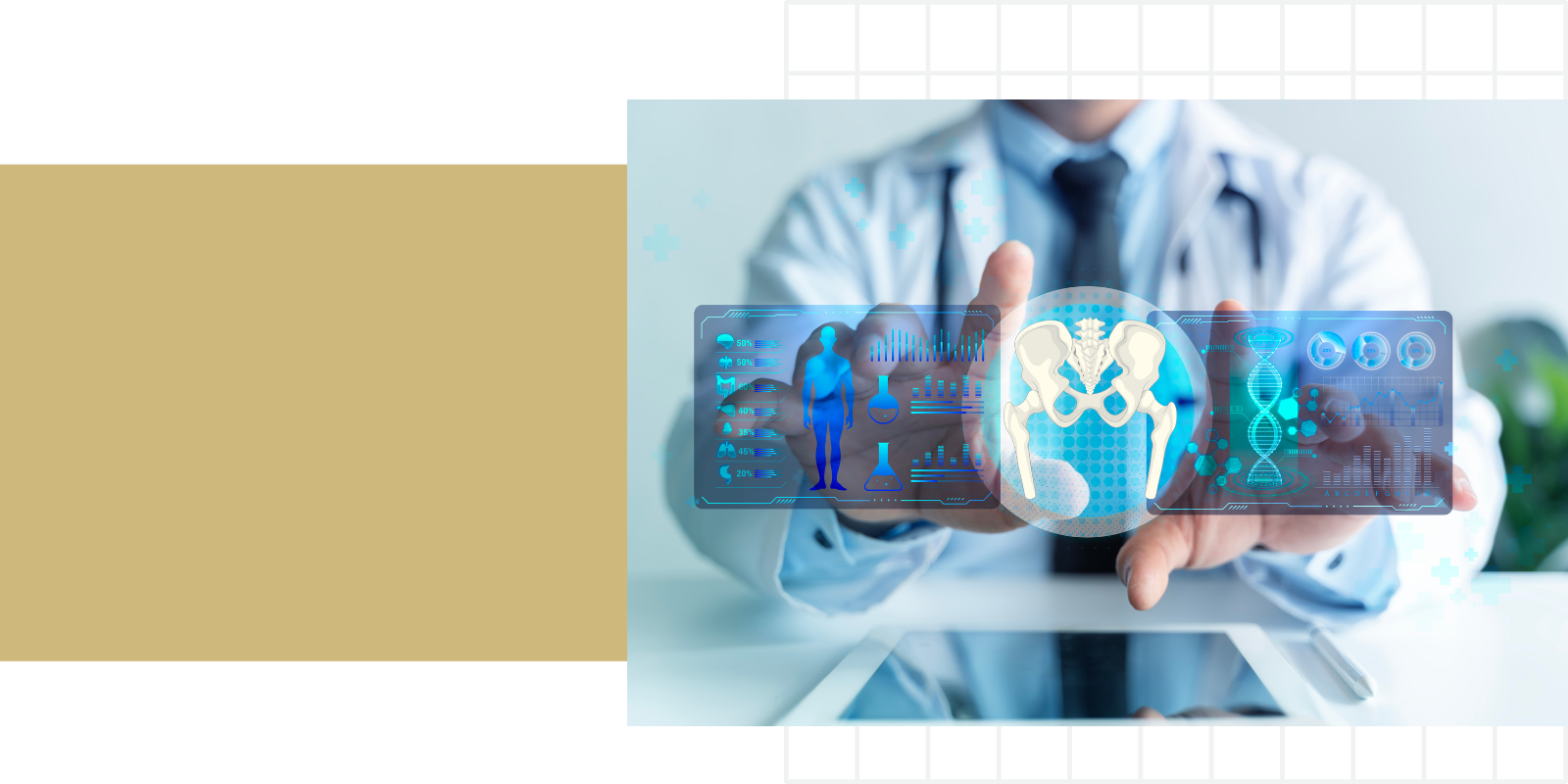 doctor presenting image of pelvis