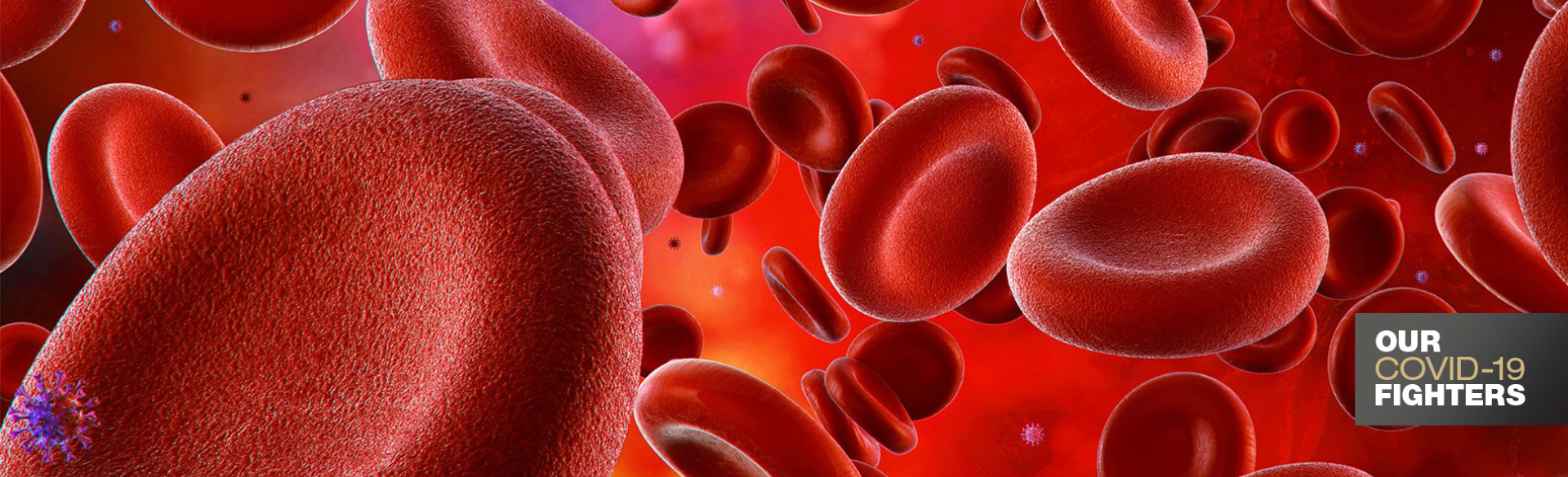 Attack On Red Blood Cells A Prime Suspect In COVID s Debilitating Effects