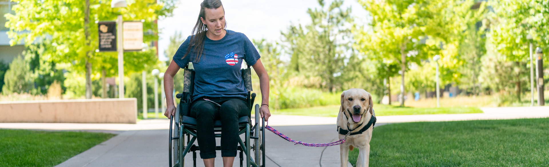 Service Animal Training Program Helps Heal Veterans